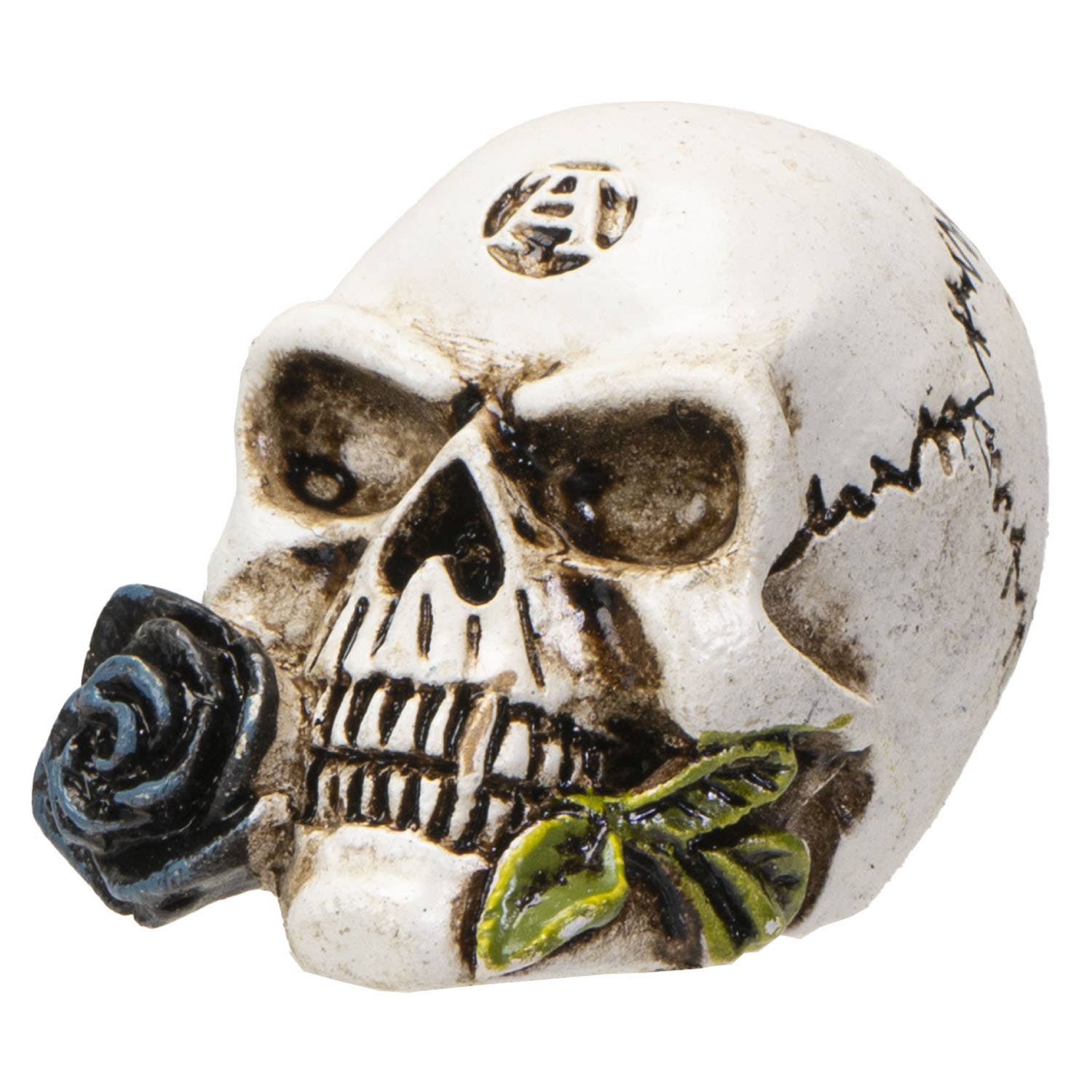 Pacific Trading - Wholesale Decorative Figurine - Alchemy Skull Mini0