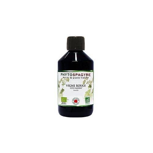 Vecteur Energy - Wholesale Oral Supplement/Vitamin - Phytospagyrie of Red Vine Plant* NF 300ml0
