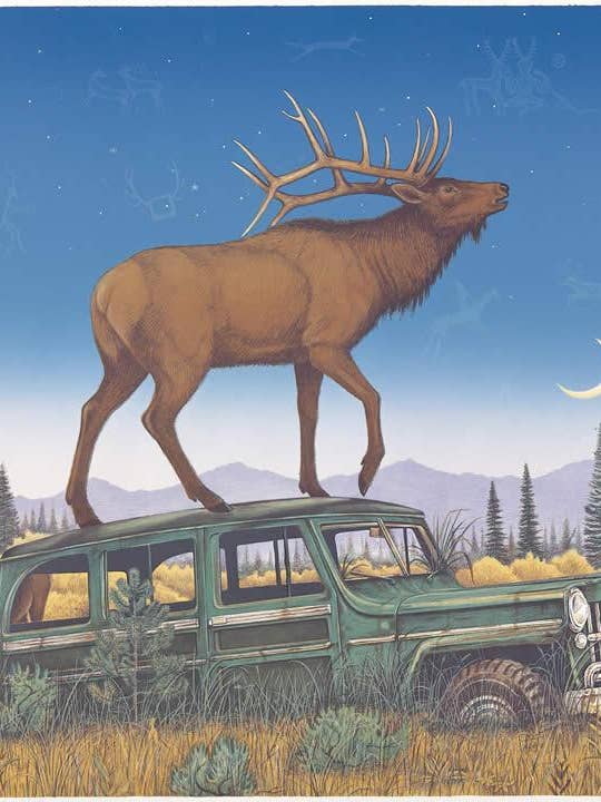 Chance von außen für den Großhandel von Frame of Mind