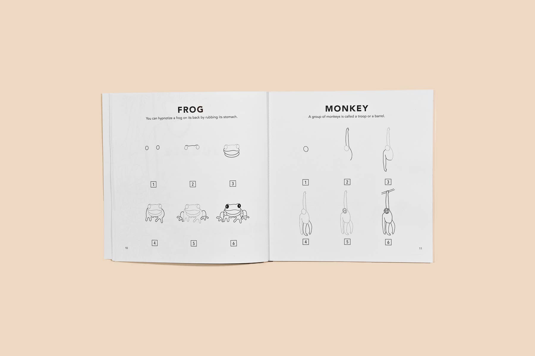 Paige Tate & Co. - Wholesale Preschool Book (3-5) - All The Animals: A How to Draw Art Book for Kids4