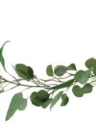 70.5 „L EUKALYPTUS/BÆR KRANS HVID for engroshandel hos Waterman's Loft Inc.