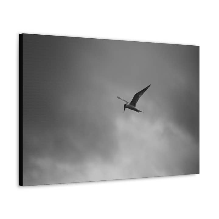 Diving Catch (Canvas) for wholesale by Pretty Average Photography