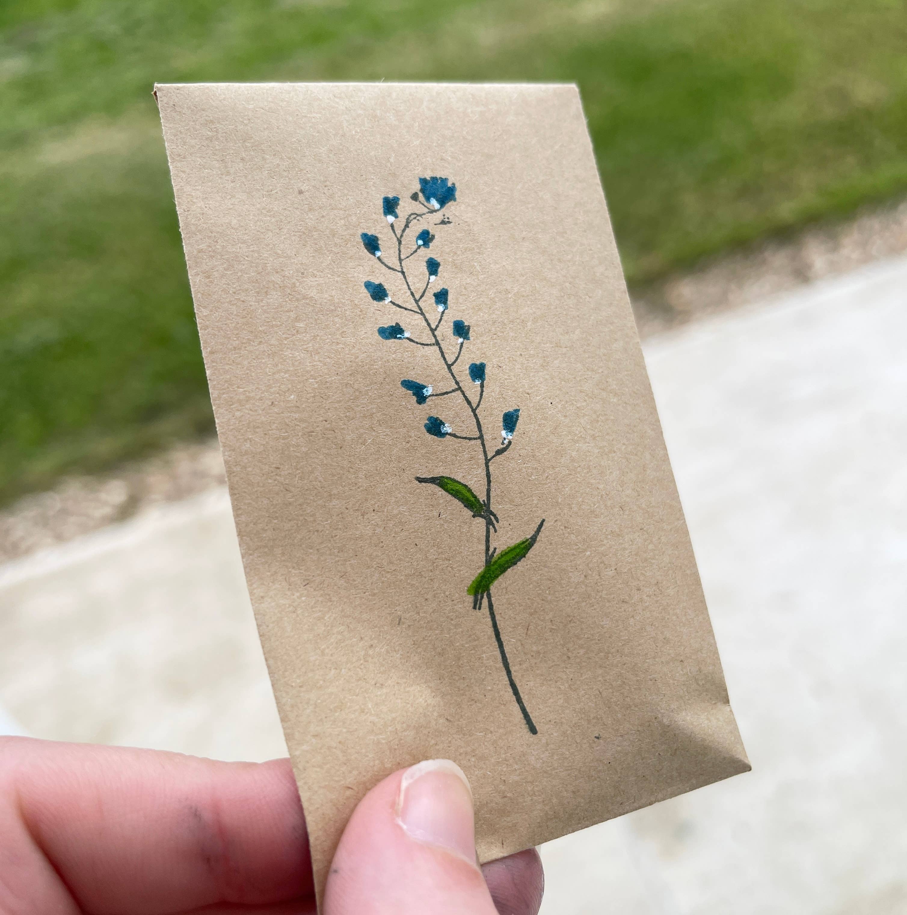 The Eco News Ltd - Wholesale Plant Seeds - Wildflower Seeds - Forget Me Not Pattern - Seed Packets2