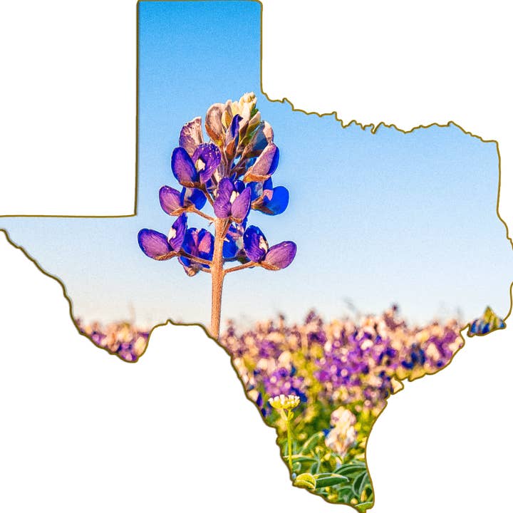 Wimberley Puzzle Company - Wholesale Magnet - Bluebonnet | Texas-Shaped Magnet