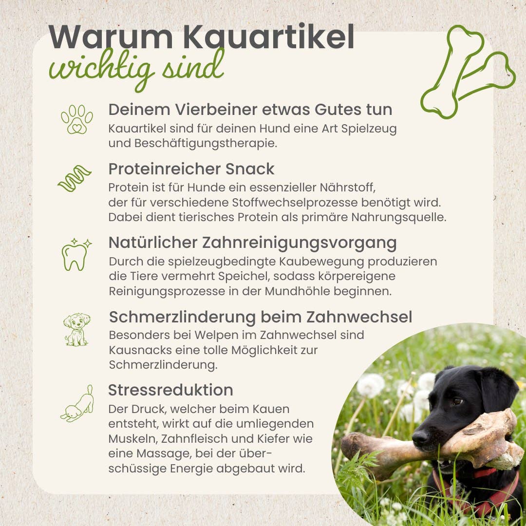 Kauartikel.com GmbH - Wholesale Pet Bone/Rawhide - Dog - Calf bubbles, turned5