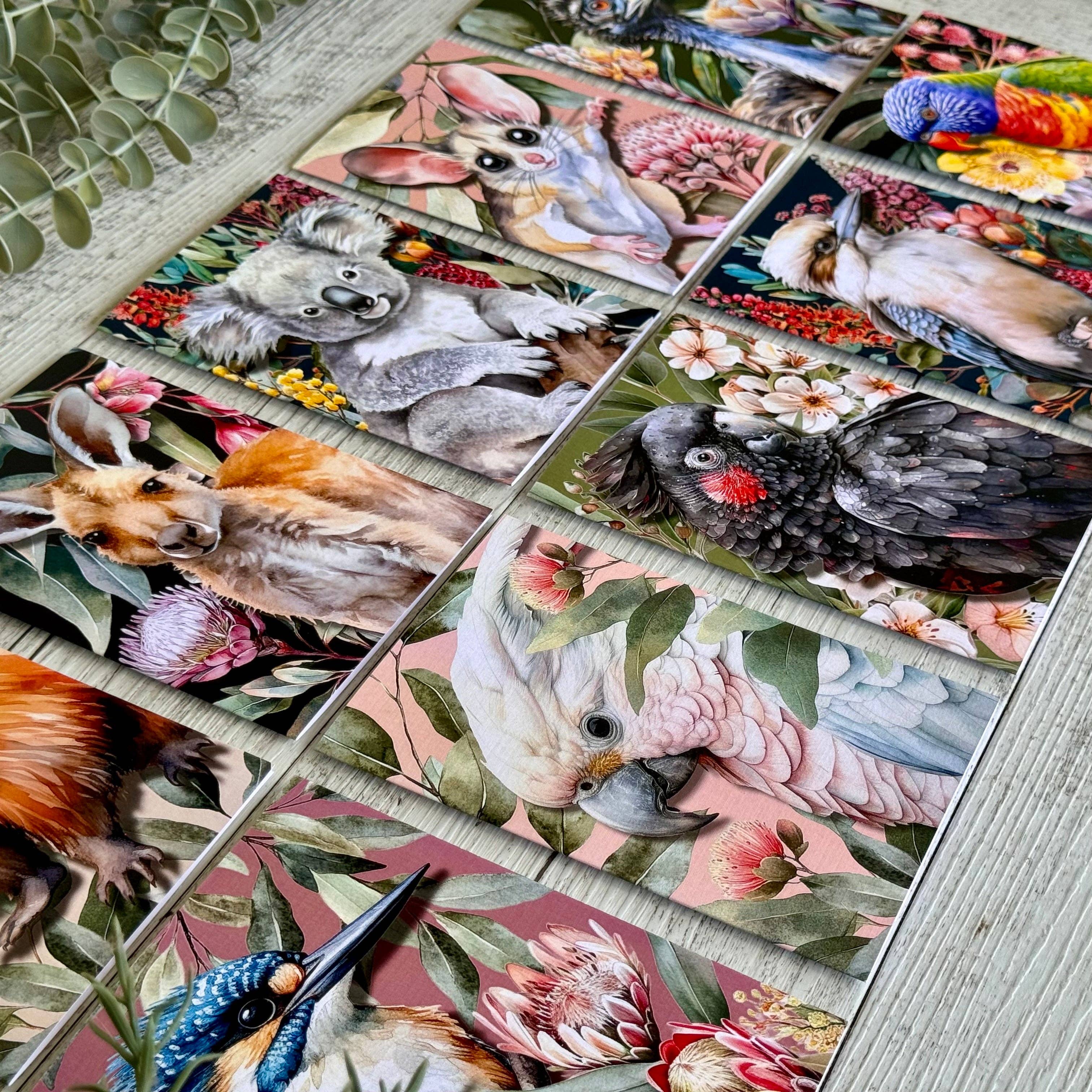 Scattered Seed Co - Wholesale Everyday greeting card - Australian Black Cockatoo on Native Florals greeting card3