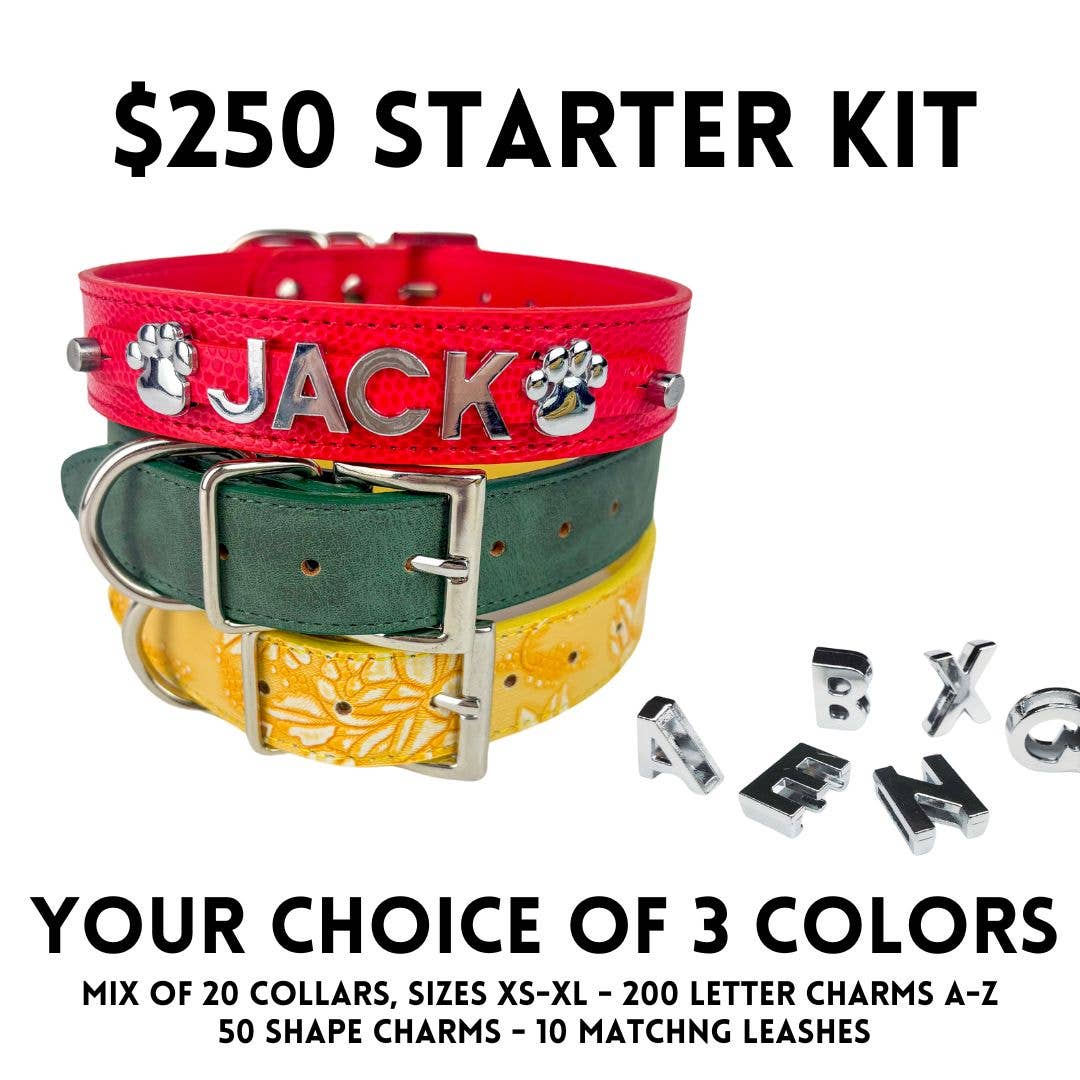 House of FurBaby – wholesale Halsband - Katt och hund – Gör-det-själv Startpaket för Husdjurskrage - Silver Matt (utan bling)0