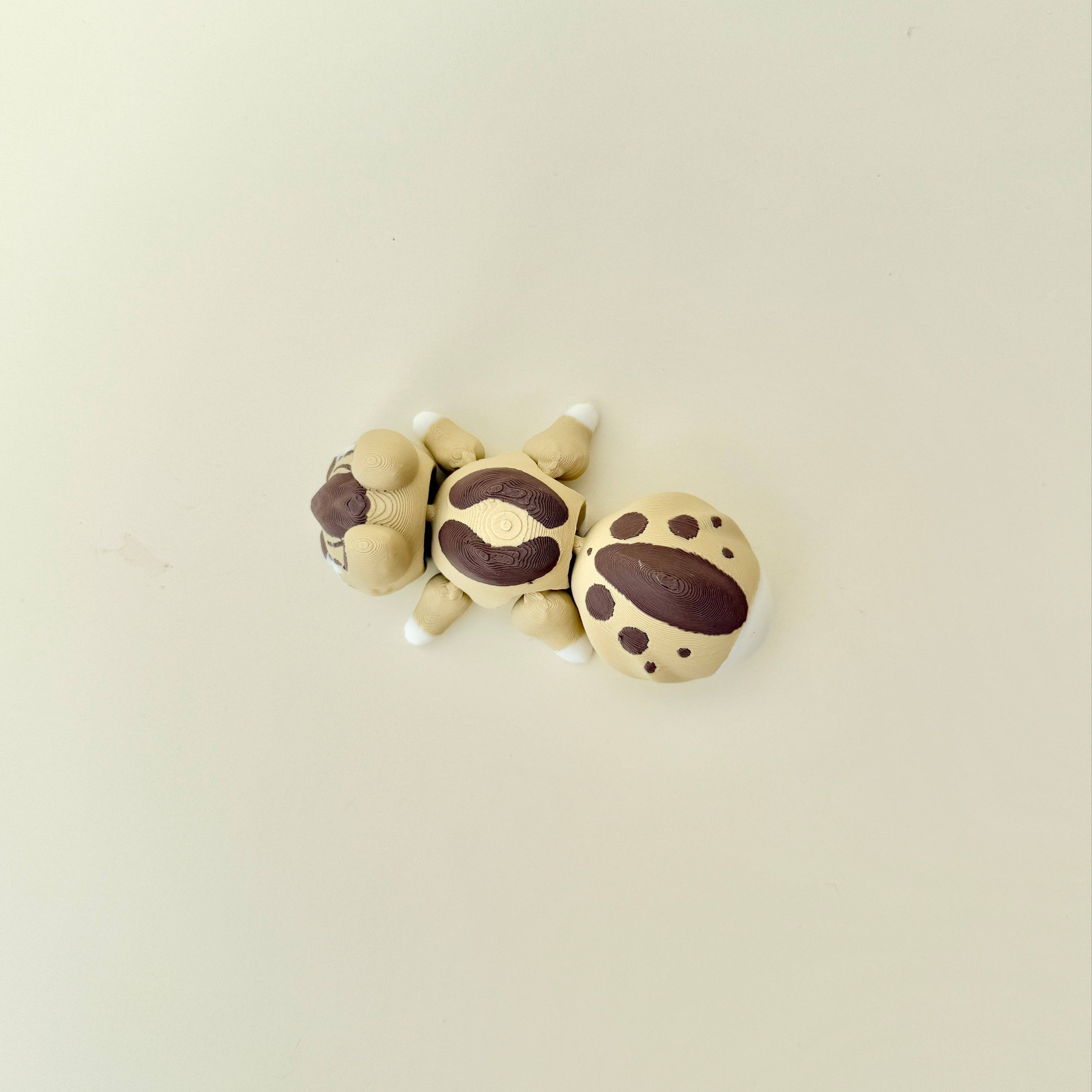 Flexi Fidgets Co. Ltd – wholesale Fidget toy – Kids – Chipmunk5