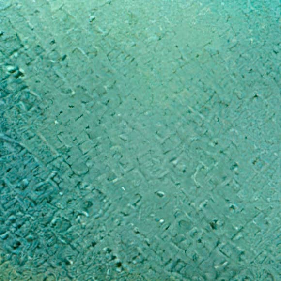 Belart Fair Trade - Vendita all'ingrosso Orecchini a cerchio - Tagua Slice - Orecchini Sita su cerchi in metallo10