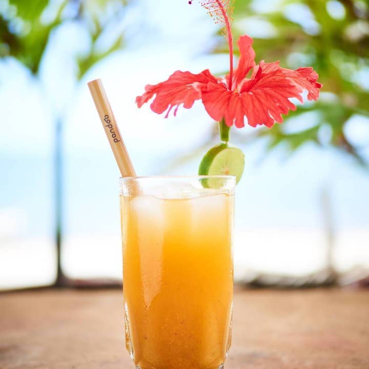 Pandoo - Wholesale Drinking Straw - bamboo straws | reusable2