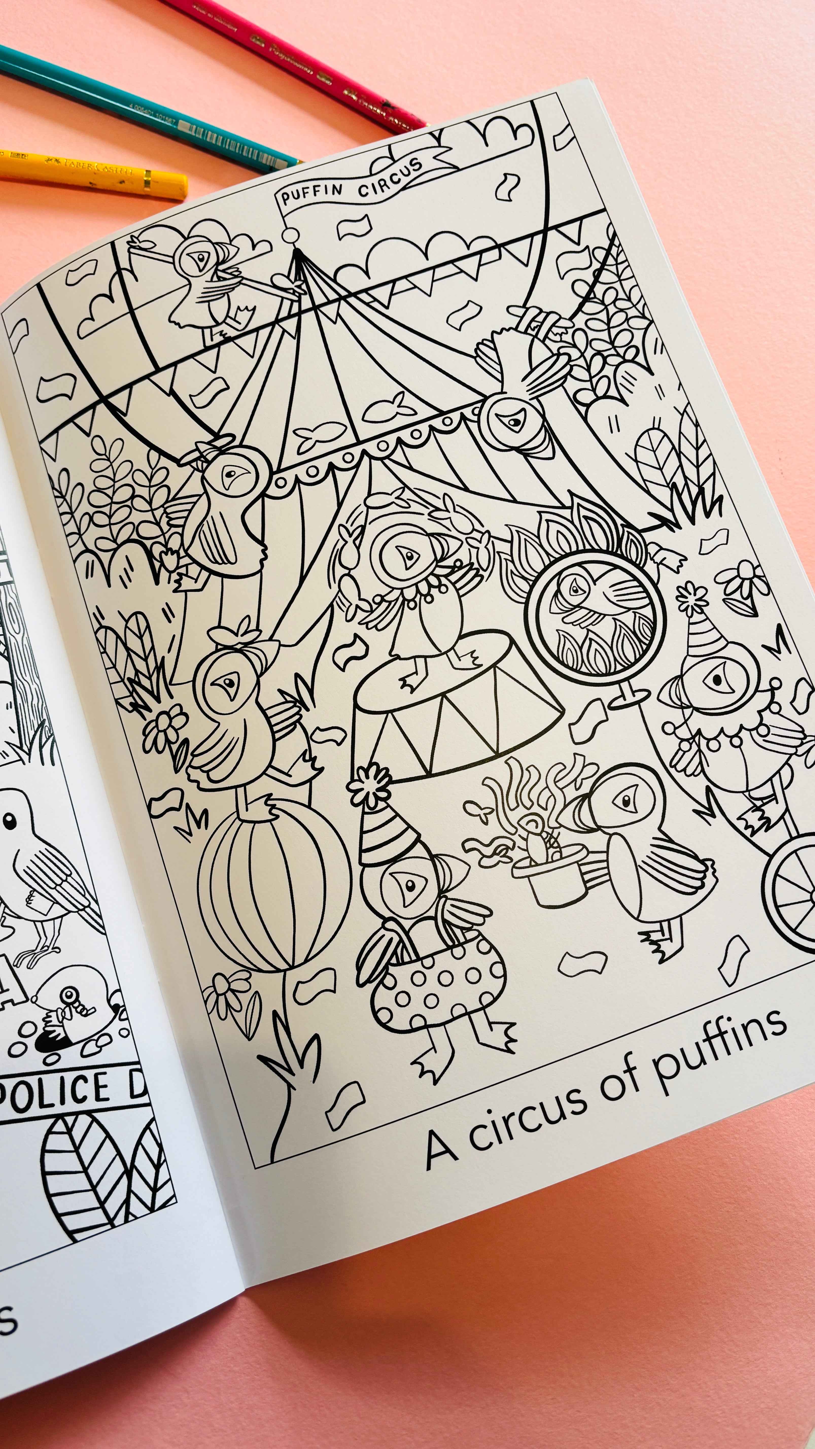 Pixiecraft - Wholesale Coloring & Activity Book - Kids & Baby - A crown of kingfishers: A collective noun colouring book5
