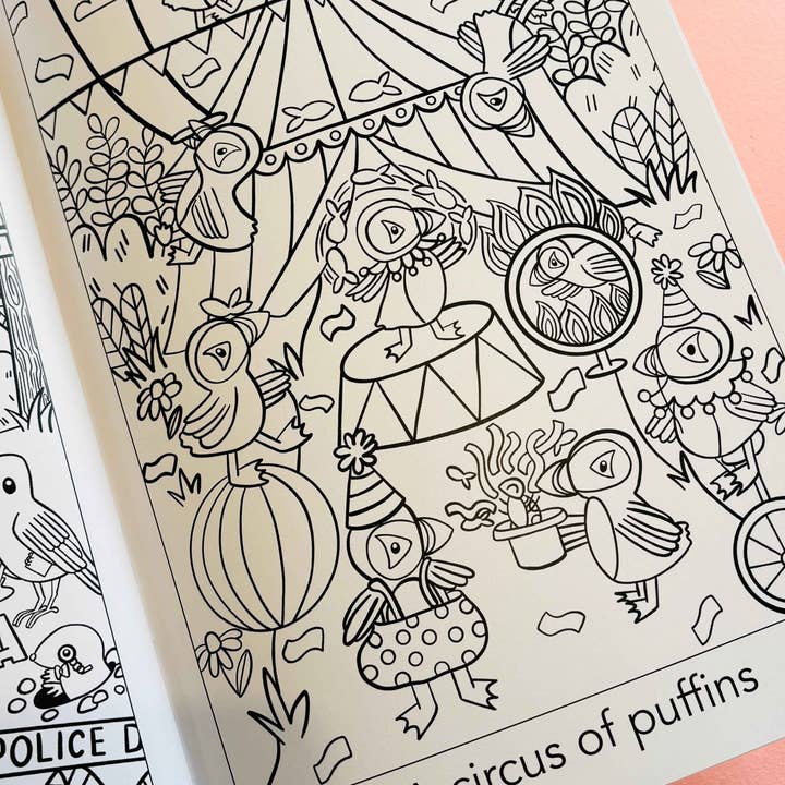 Pixiecraft - Wholesale Coloring & Activity Book - Kids & Baby - A crown of kingfishers: A collective noun colouring book5