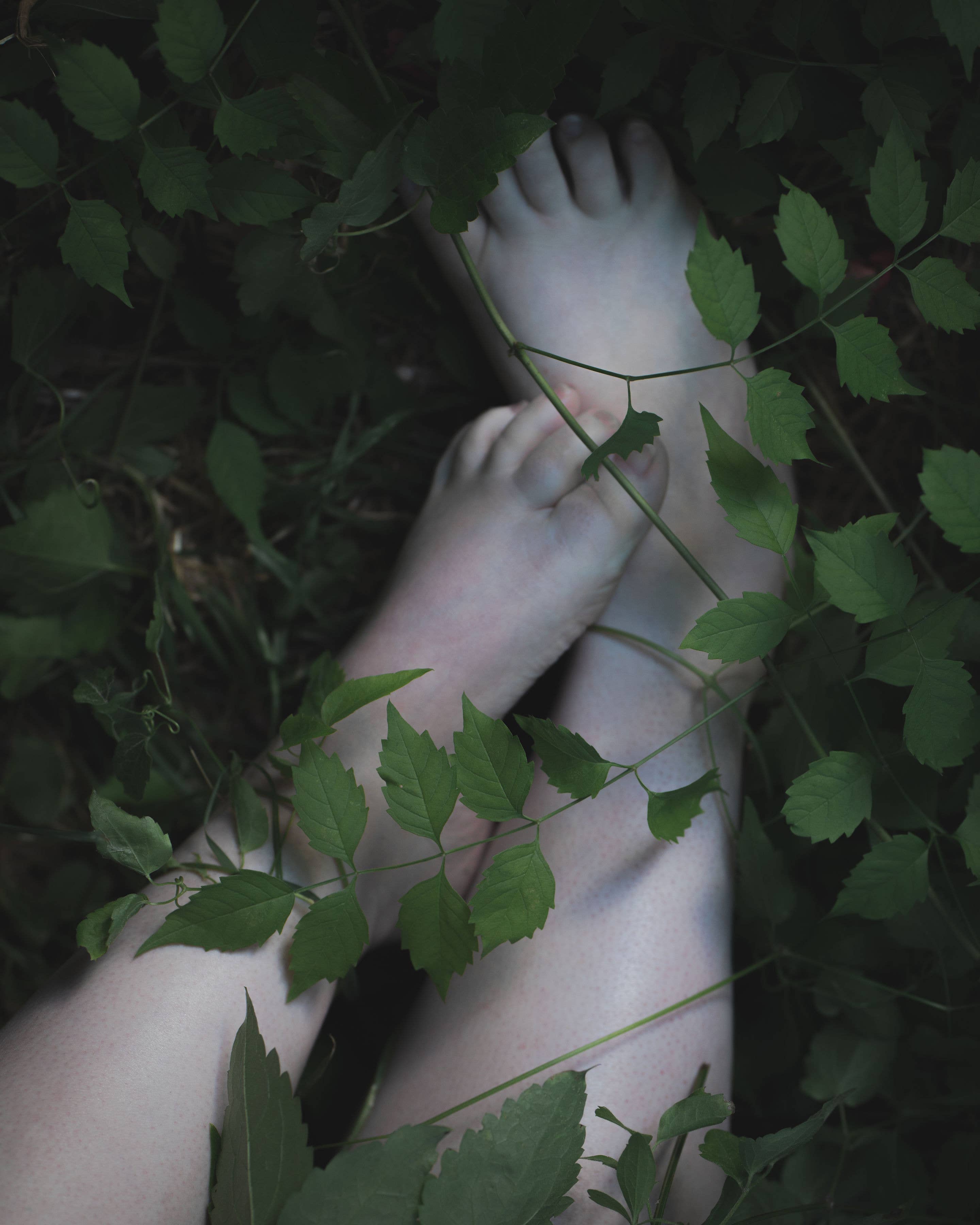 Seagrape Apothecary - Wholesale Roll-On Fragrance - Palo Santo Perfume3