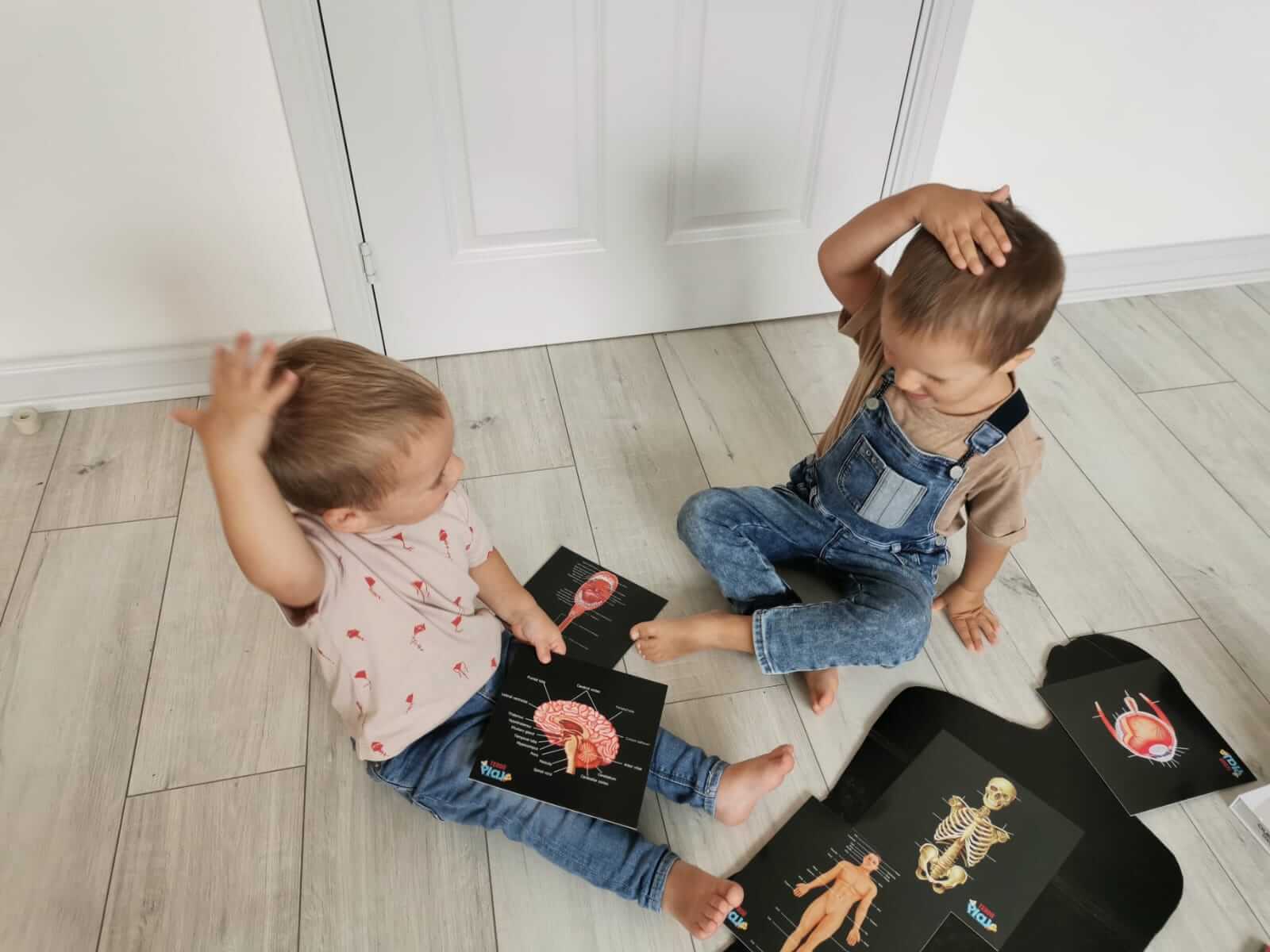 Teddo Play – Großhandel Lernkarten – Kind & Baby – Schließen Sie die pädagogischen Geschenke der menschlichen Anatomie+Werbegeschenke ab7