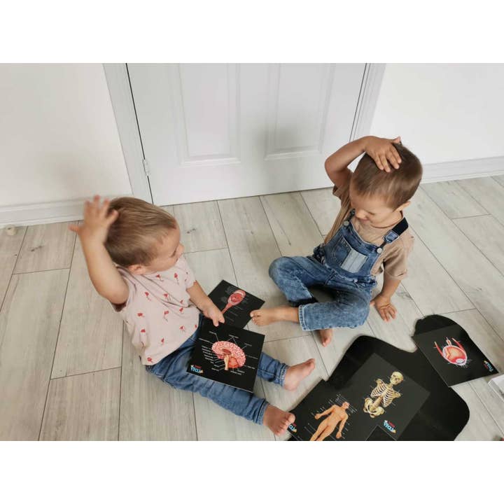 Teddo Play – Großhandel Lernkarten – Kind & Baby – Schließen Sie die pädagogischen Geschenke der menschlichen Anatomie+Werbegeschenke ab7