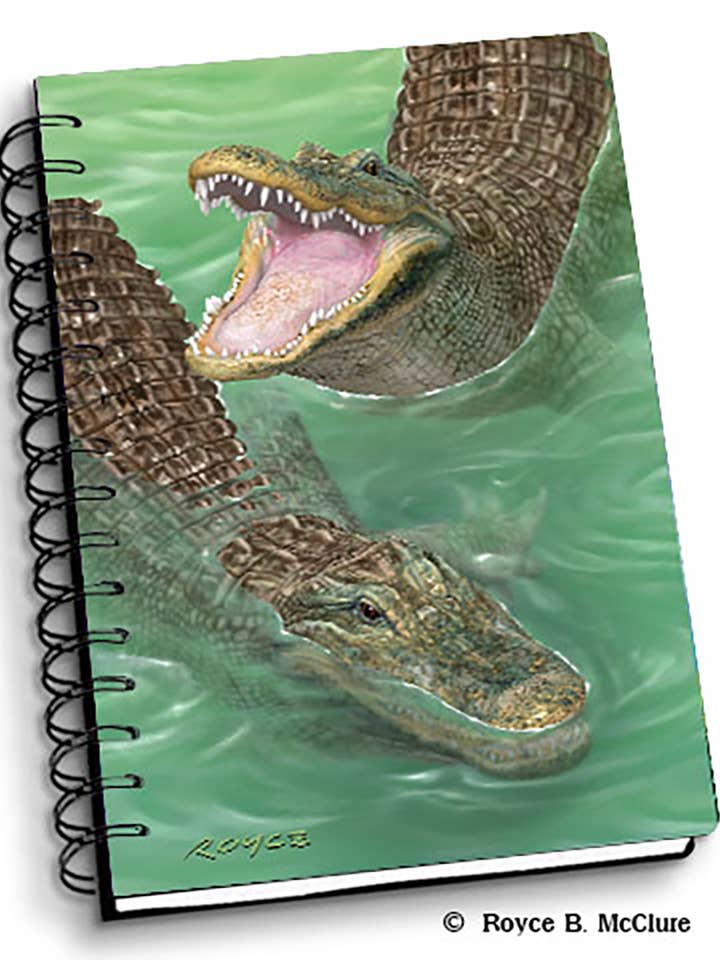 3D Royce Notebook 4" x 6" - Swamp Gators for wholesale by Artgame Ltd.
