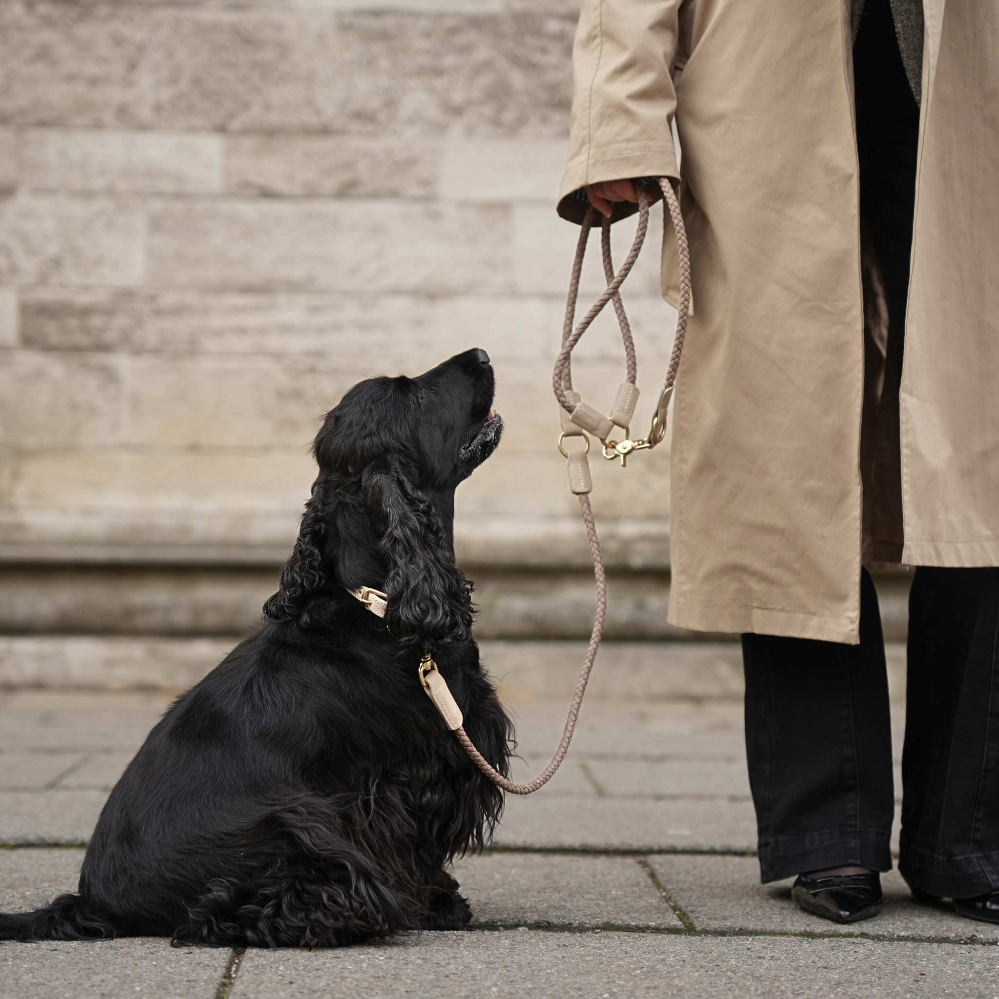 Staey – Großhandel Leine – Hund – Geflochtene Hundeleine Kaia aus Nubukleder in Taupe4