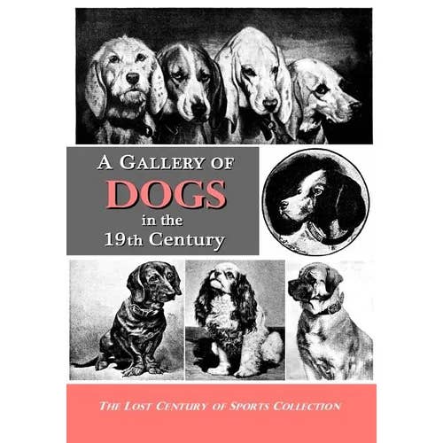 Books by splitShops - Wholesale Book - Adult - A Gallery of Dogs in the 19th Century: 350 Photographs & Illustrations from 50 Books & Magazines Published from 1858 to 1898 - Paperback