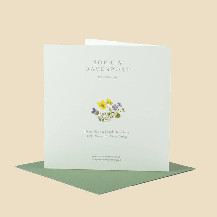 Sophia Davenport - Wholesale Everyday Greeting Card - Wildflower Greeting Cards and Notelets25