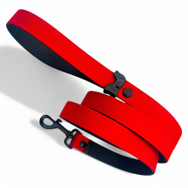 Laisses pour la vente par HÜND HAUS