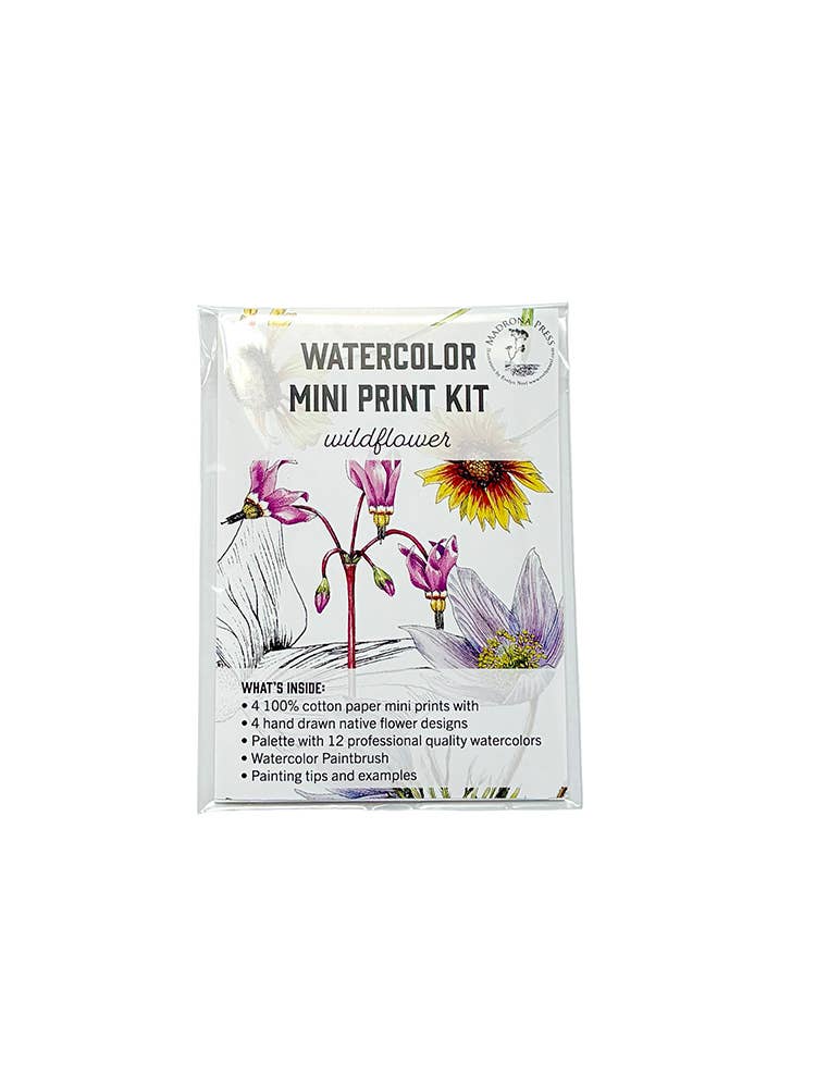 Madrona Press - Wholesale DIY Craft Kit - Watercolor Mini Print Kit - Wildflowers3