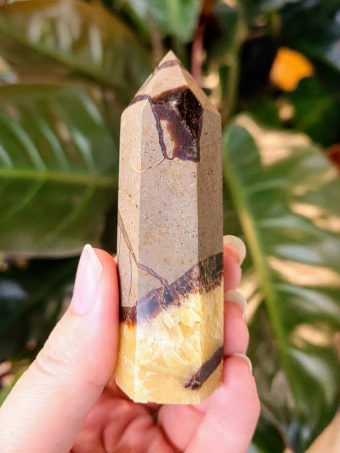 Tour de pierre septarienne pour la vente par Kiwi's Garden Center