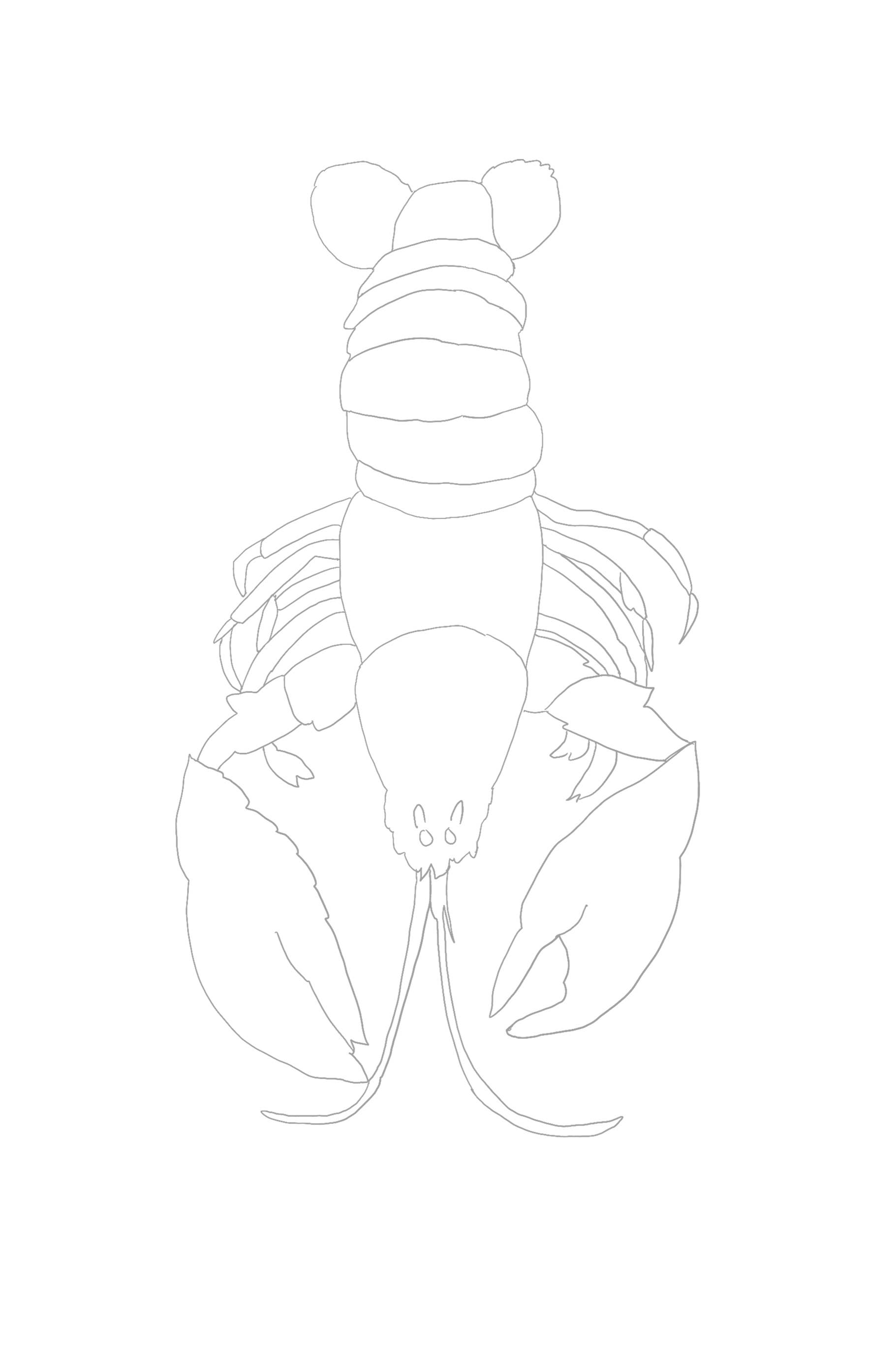 Melissa Hyatt - Wholesale DIY Craft Kit - Watercolor Art Kit- Lobster4