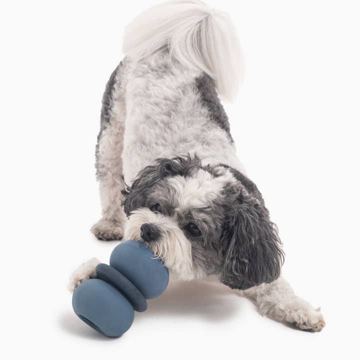 Fable Pets - Wholesale Pet Toy - Dog - Armadillo Dog Toy