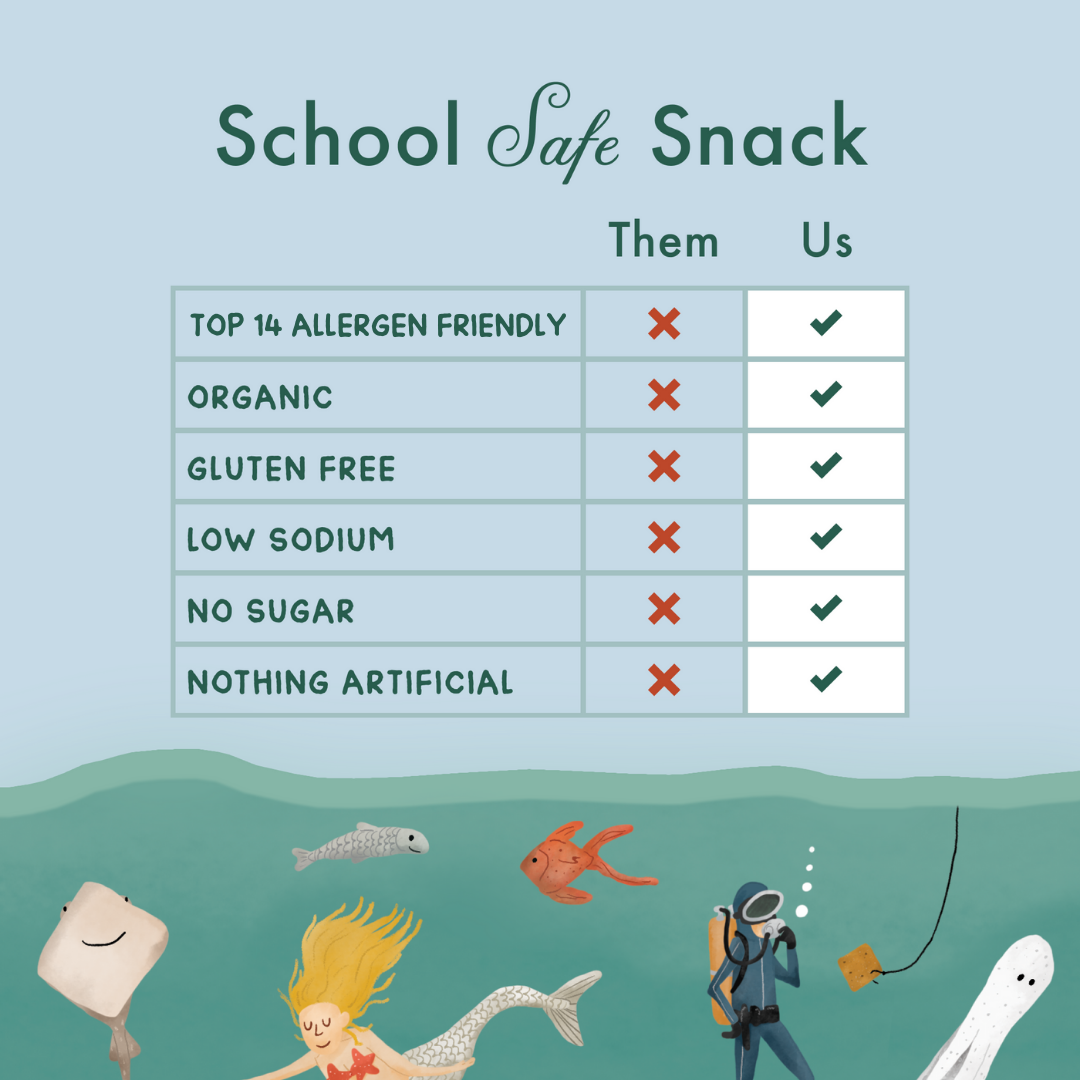 Fair & Square - Wholesale Crackers - Sea Salt Crackers | 4oz box4