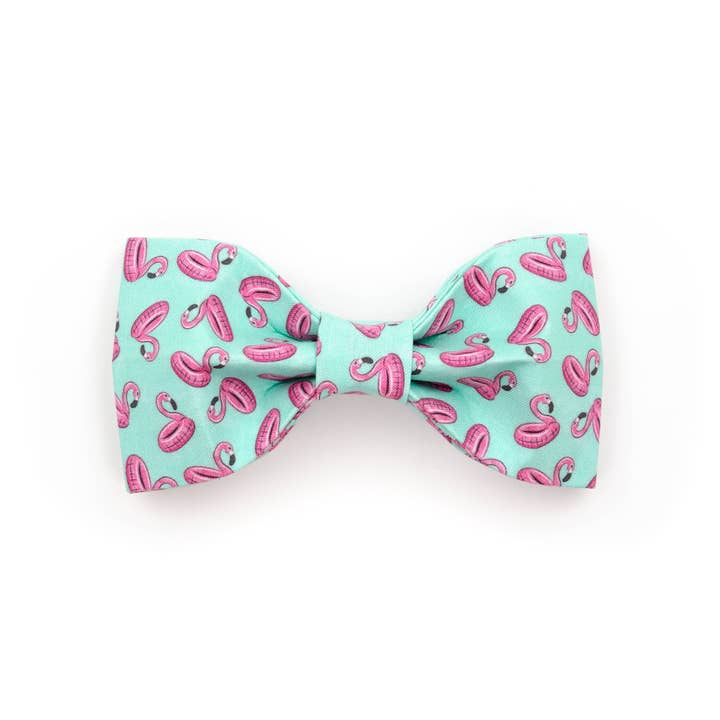 Il Papillon Olivia per la vendita all'ingrosso da parte di Puddle Jumper Pups