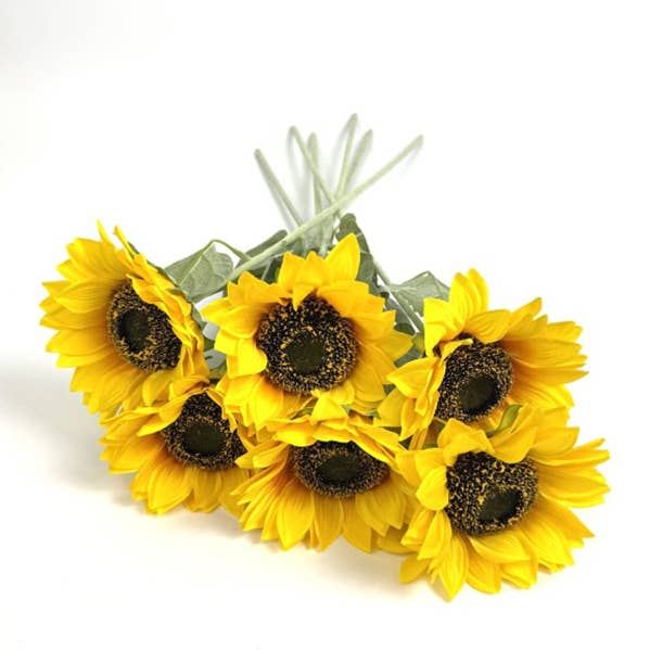 Stelo singolo di girasole per la vendita all'ingrosso da parte di McGowan & Rutherford Ltd