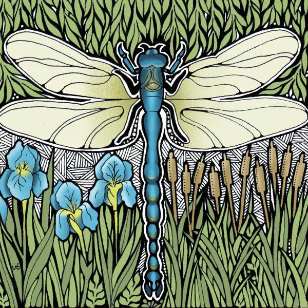 Libélula por atacado de Alff a Bet Design