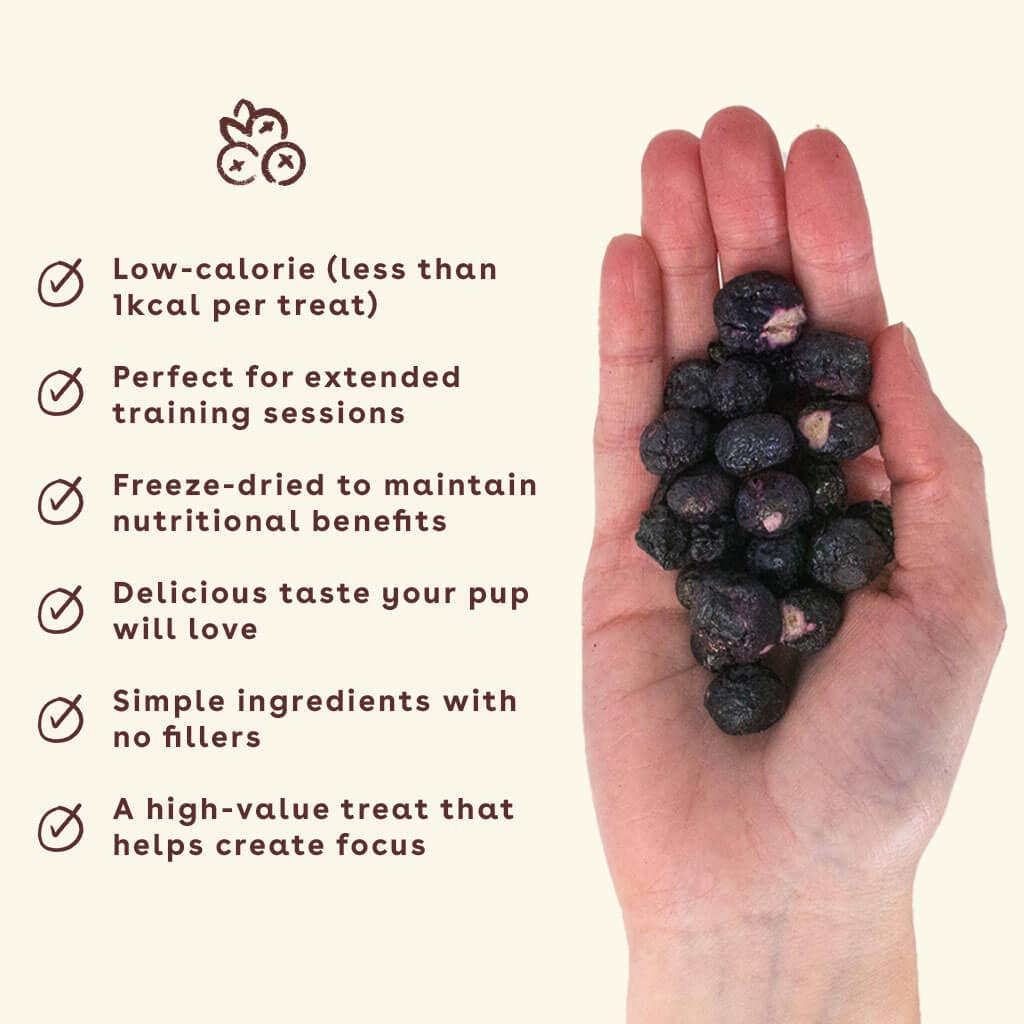 Pupford - Wholesale Pet Treats - Dog - Freeze Dried Blueberry Traning Treats 2oz1