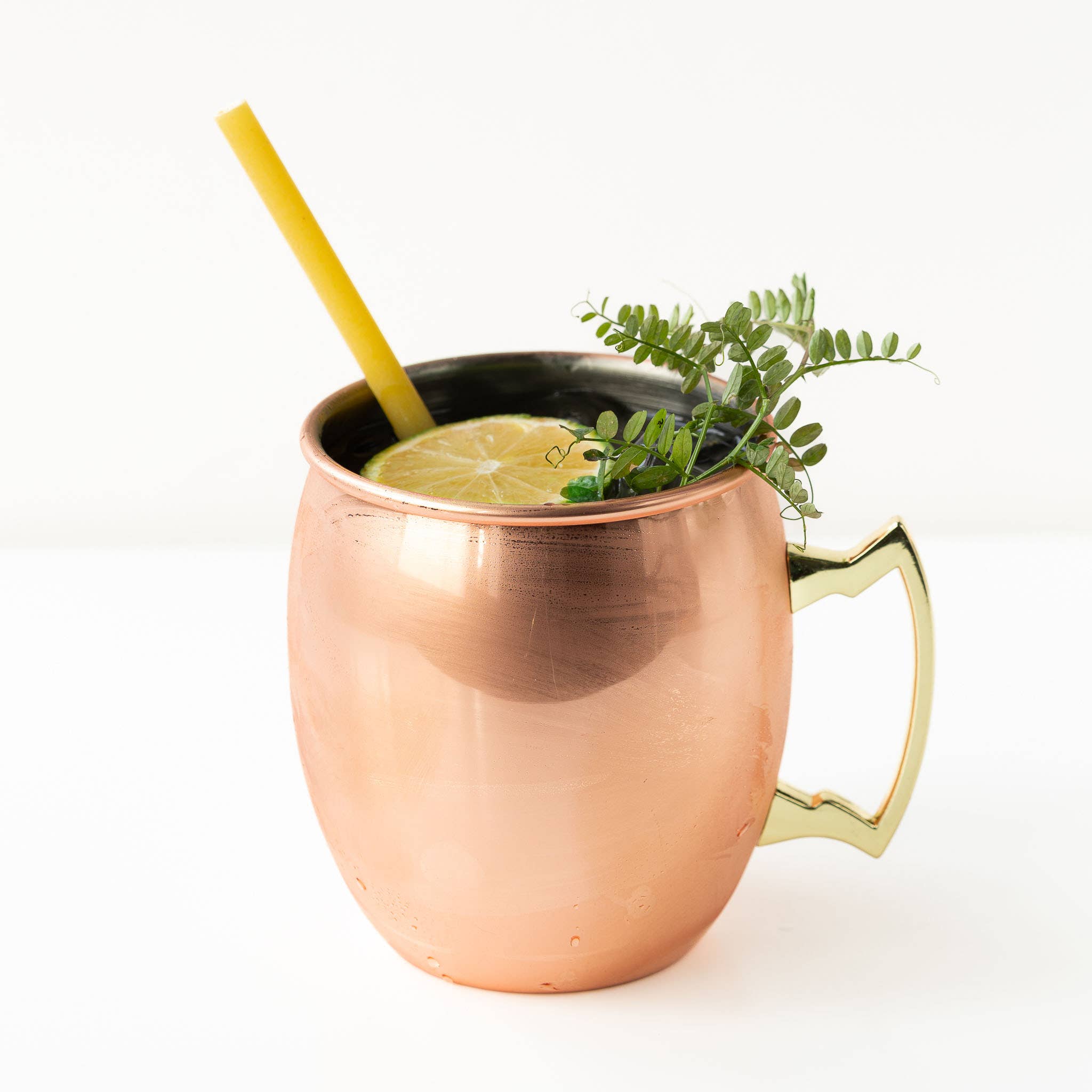 BIOCAL SRL – wholesale Dried/dehydrated fruit – Lemon Slices3