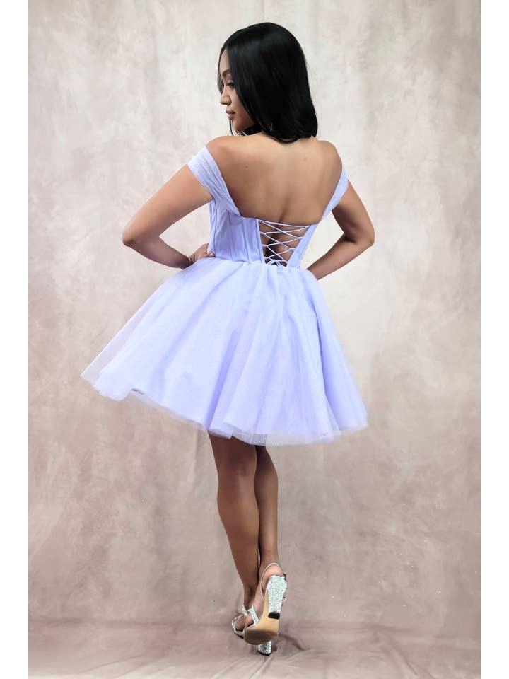 Chicas - Wholesale Dress - Women's - Short Off The Shoulder Tulle Dress With Brooch28
