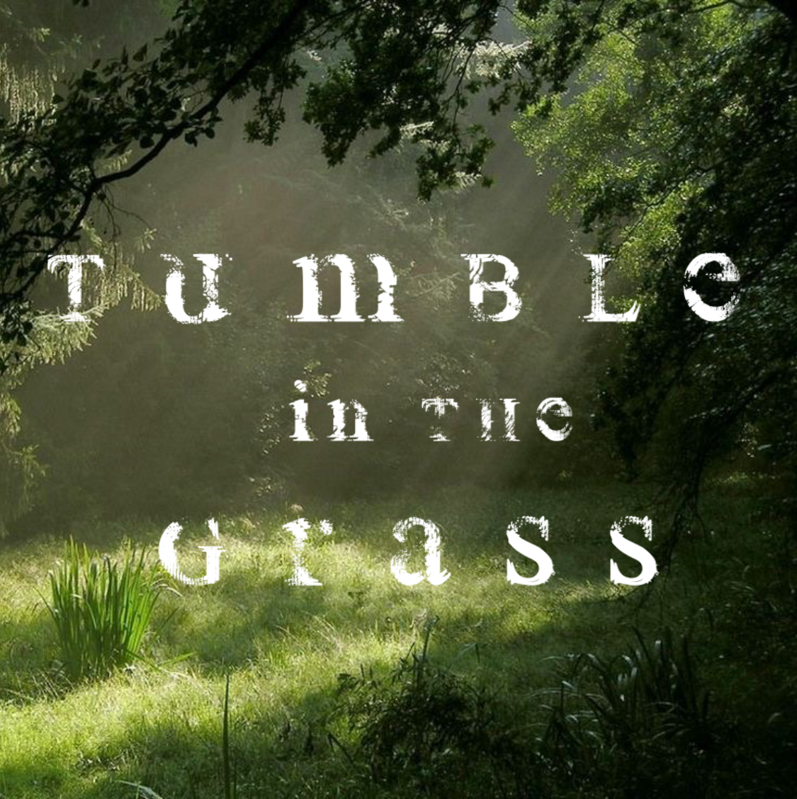 L'Aventura Perfumes - Wholesale Perfume/Eau de Toilette - Tumble In The Grass

Eau de Parfum2