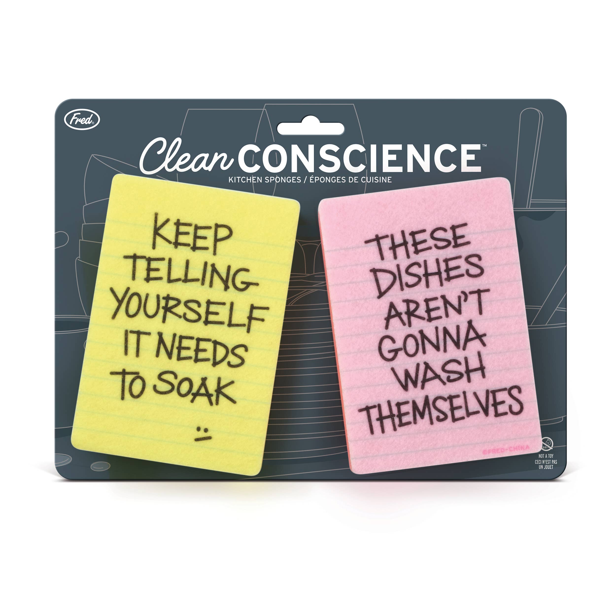 Fred & Friends - Wholesale Cleaning Sponge - Sponges - CLEAN CONSCIENCE - Passive Aggressive Notes4