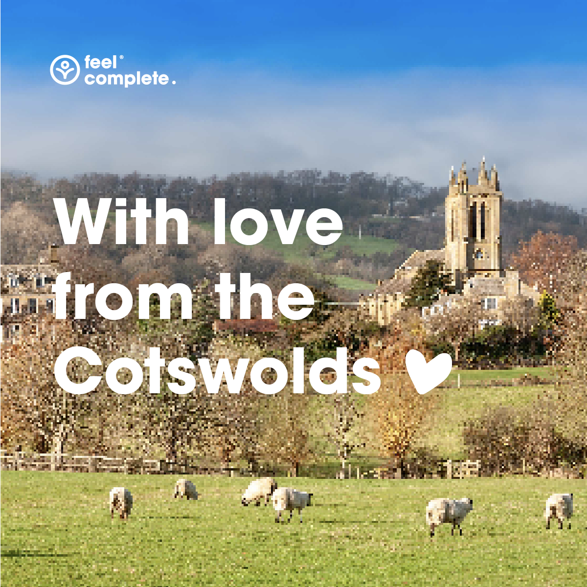 Feel Complete - Wholesale Salt - Celtic Sea Salt (Fine & Dry)10