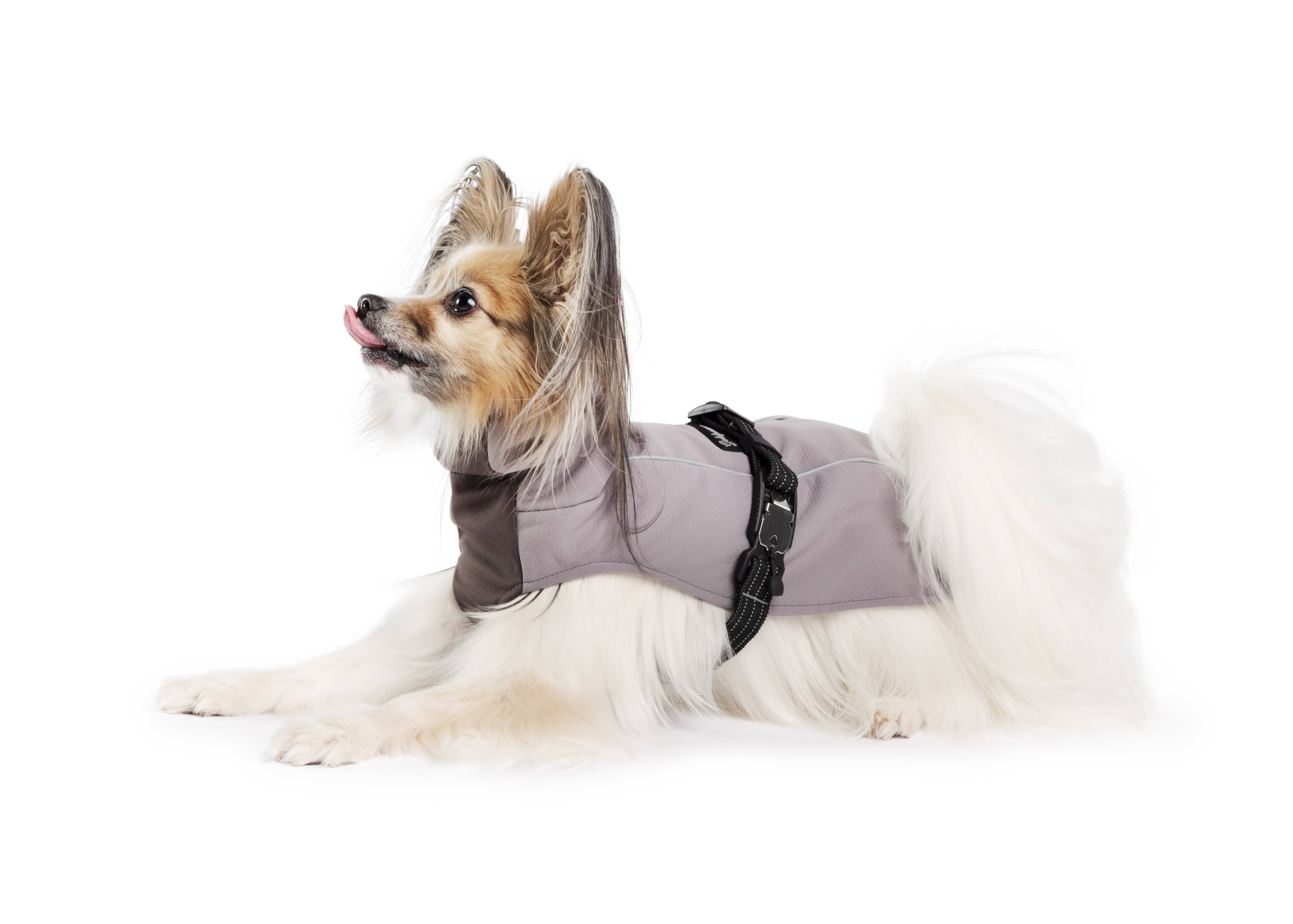 Gold Paw Series - Wholesale Pet Coat - Dog - WinterPaw2