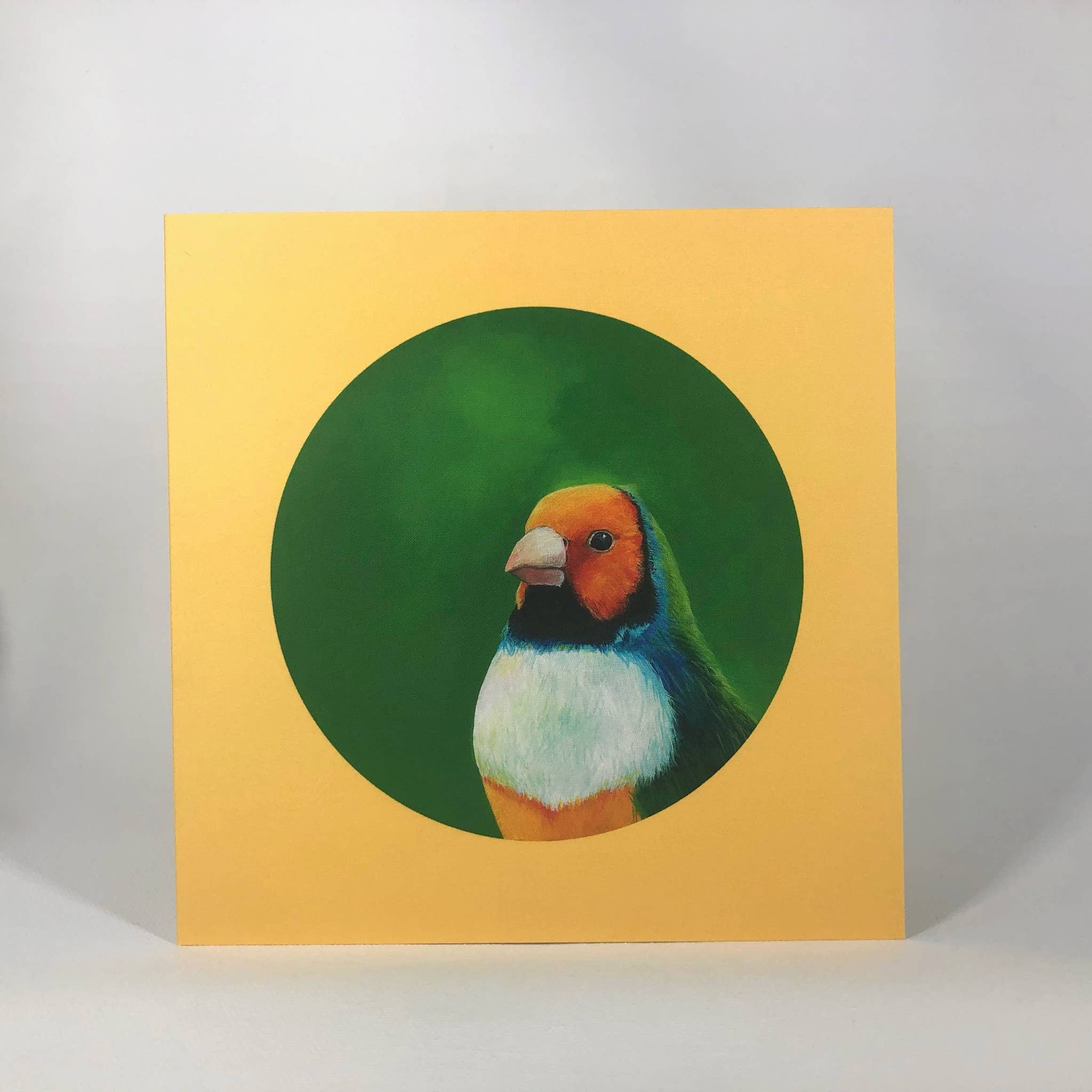 Diedododa – wholesale Everyday greeting card – Gouldian Finch Greeting Card0