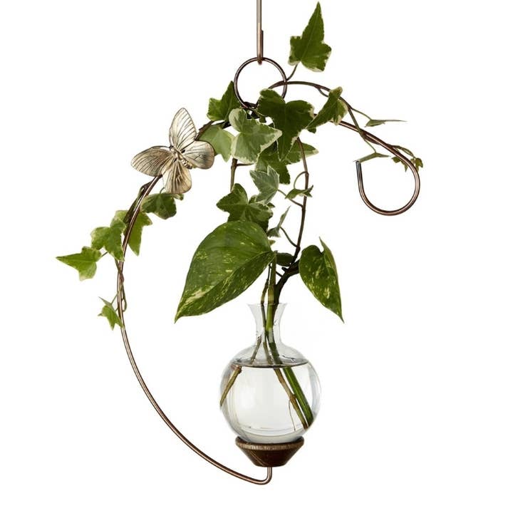 The Brass Butterfly - Wholesale Vase - Crescent Hanging Plant Propagation Rooting Vase0