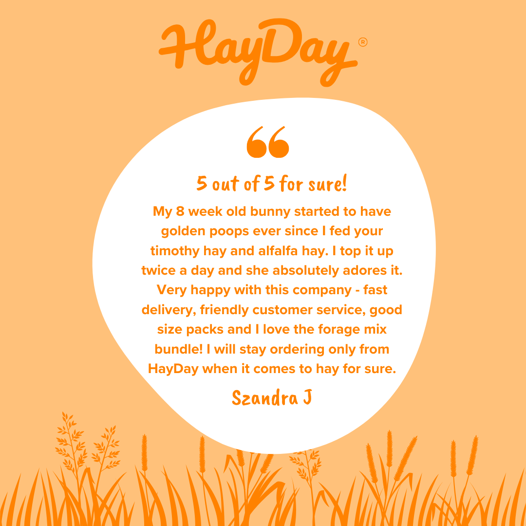 HayDay - Wholesale Pet Food - Not Cat/Dog - Tasty Timothy Hay 1kg8