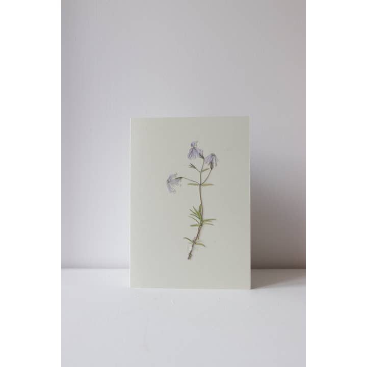Me & My Bloomers – wholesale Everyday greeting card – Sky Pressed Flower Card