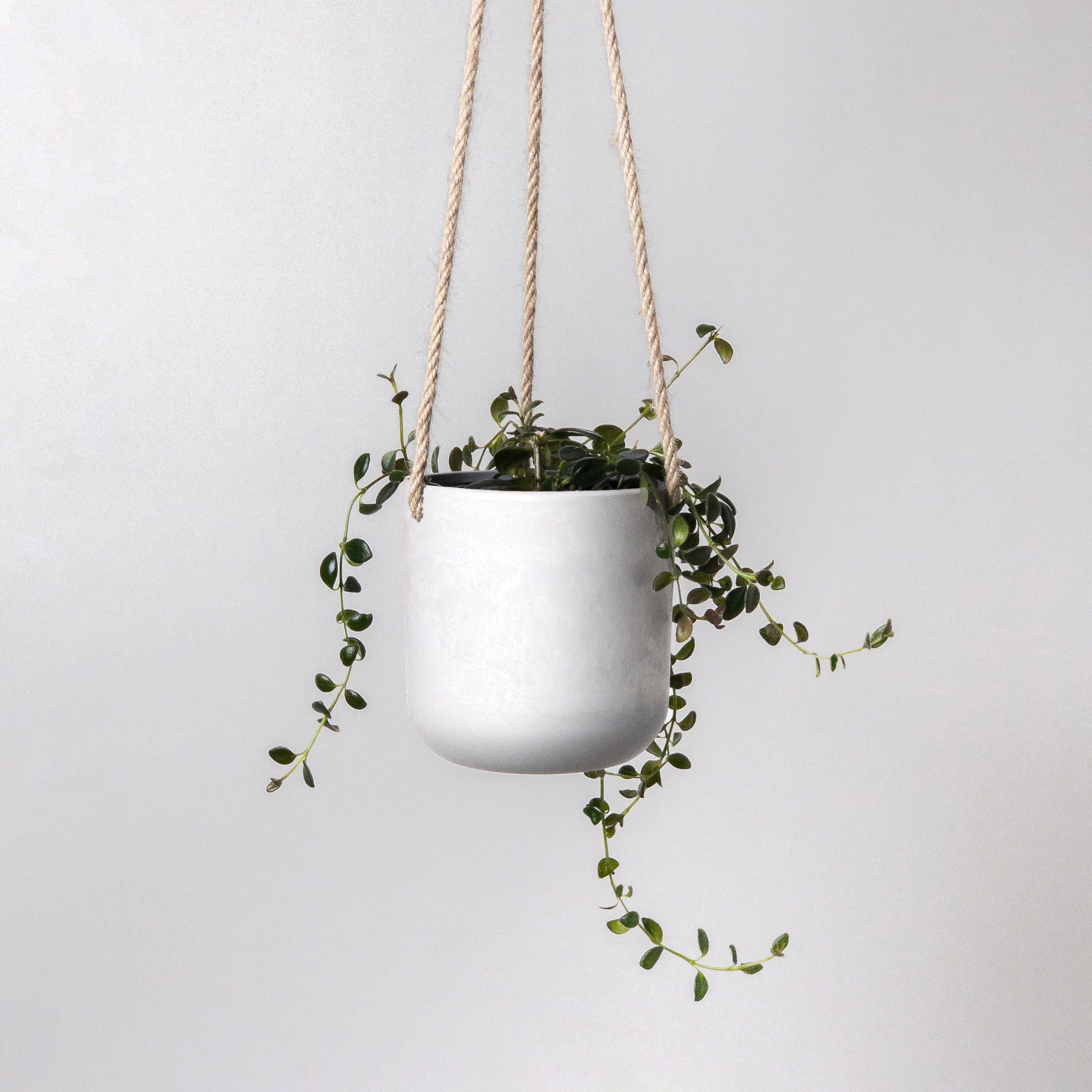 Kanso Designs - Wholesale Hanging planter - 4" Signature Stone Hanging Planter Pot3
