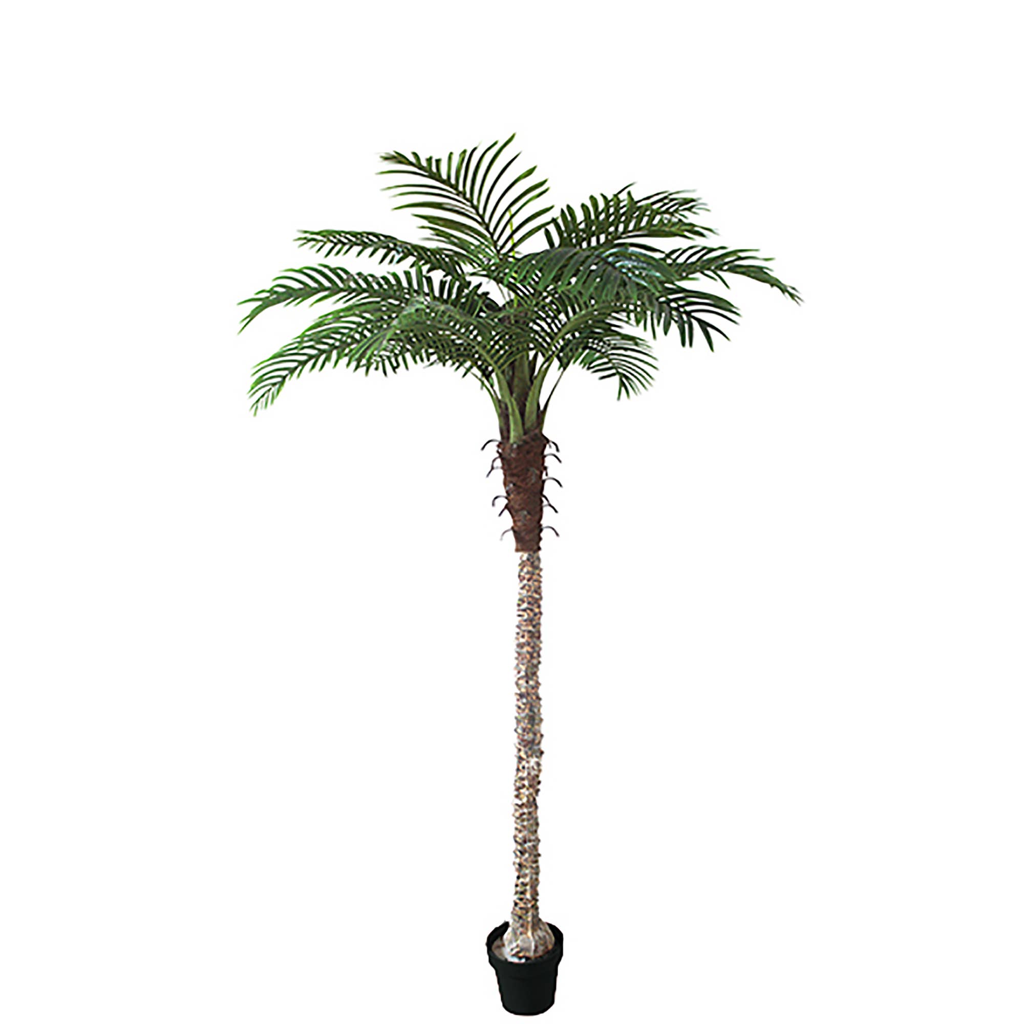 Vosteen - Wholesale Plant Pot - Phoenix potted palm tree, H180cm, green0