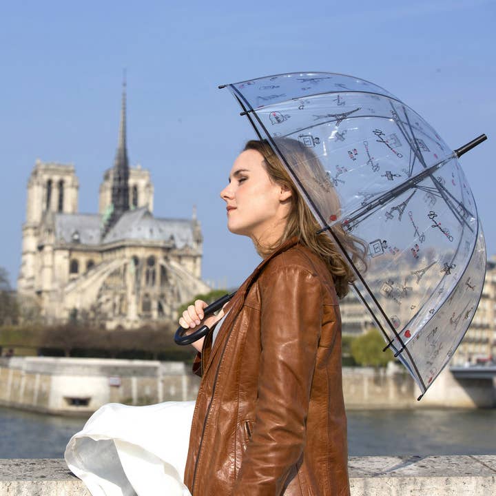 SMATI - Wholesale Umbrella – Women's - Long Transparent Umbrella Paris Symbols3
