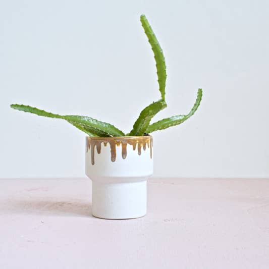 Pote cônico - gotejador de ouro por atacado de Desired-Design