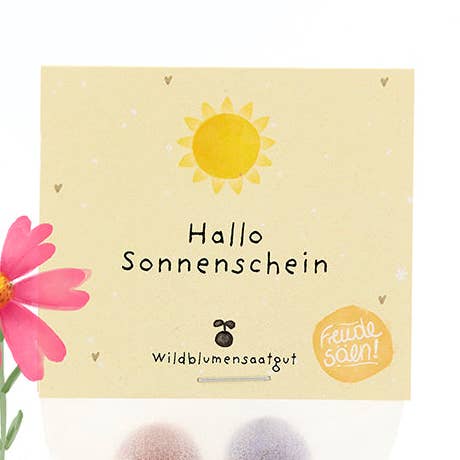 5 berlindes de flores no saquinho "Olá Sol" por atacado de TDJ Stadtgärtner GmbH