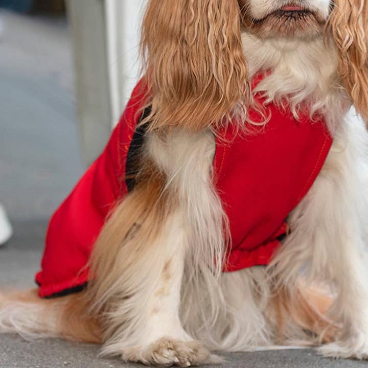 Bruce Winter - Rosso per la vendita all'ingrosso da parte di Kizzou