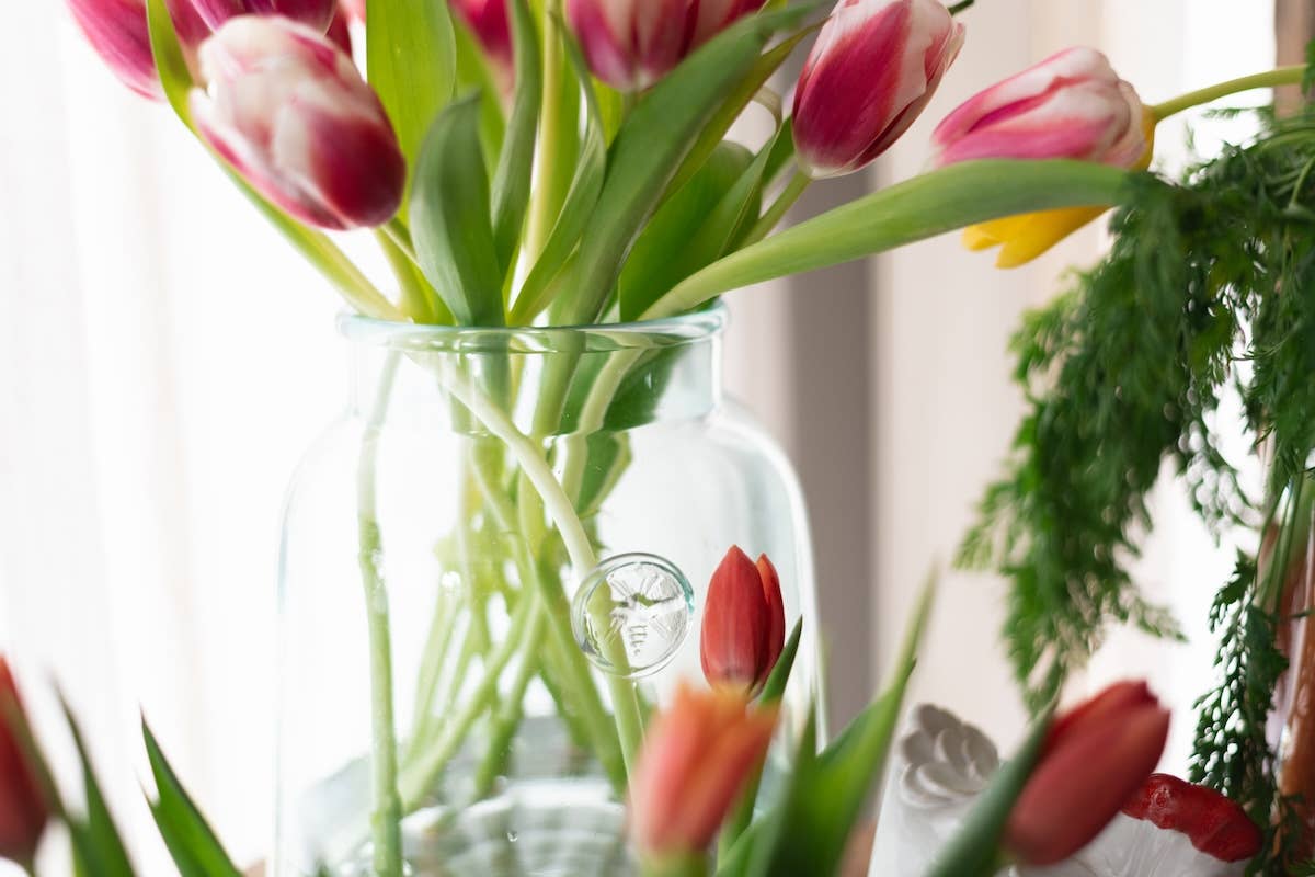 etúHOME – Großhandel Vasen – Französische Biene Klarer Einmachglas-Vase mit Verschluss, Klein3